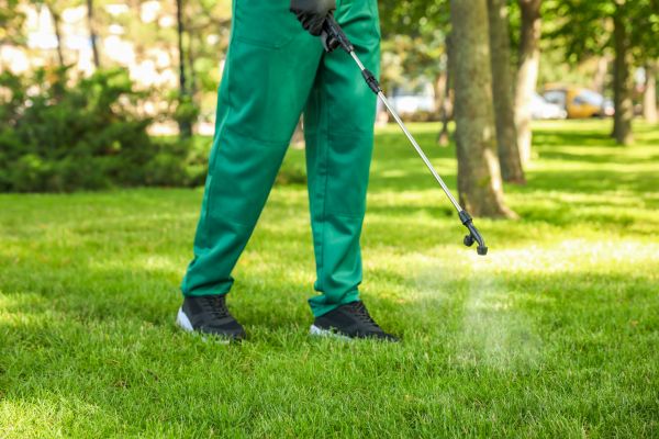 Panama City Lawn Treatment