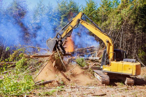 Panama City Land Clearing